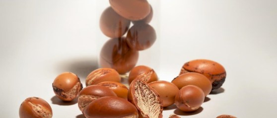 argan sustainable LOréal